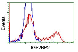 IGF2BP2 Antibody (clone OTI3G7)