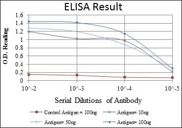 PRKAA1 / AMPK Alpha 1 Antibody (clone 2B7)