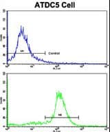 NDUFS4 Antibody (aa131-160)