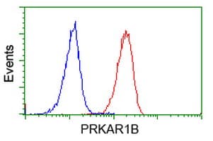 PRKAR1B Antibody (clone OTI9C5, Carrier-free)