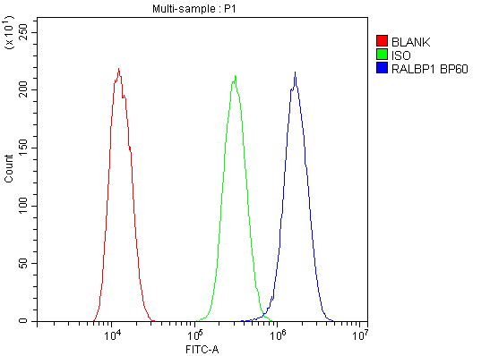 Polyclonal Rabbit anti-Human RIP1 / RALBP1 Antibody (IHC, WB)