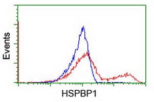 HSPBP1 Antibody (clone OTI2D1)