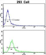 PLEKHO1 / CKIP-1 Antibody (aa49-77)