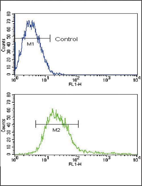 ADAM17 / TACE Antibody (aa195-224)