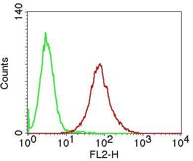 TNFSF11 / RANKL / TRANCE Antibody