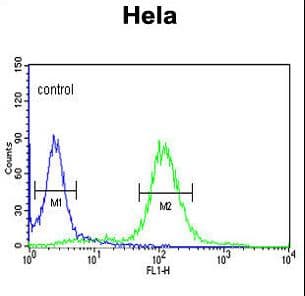 SNURF Antibody (aa4-32)
