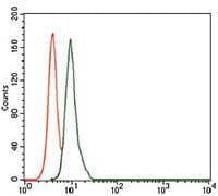Monoclonal Mouse anti-Human SCGB1A1 / Uteroglobin Antibody (clone 3A8B8, Amino Acid: 26-91, WB)