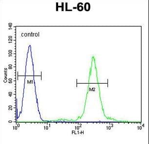 ELMOD2 Antibody (aa251-279)