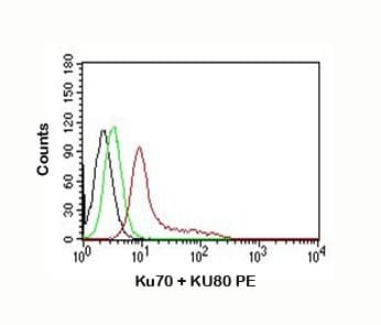 Ku70+Ku80 / XRCC6+XRCC5 Antibody (clone KU729, Azide-free, BSA-free)