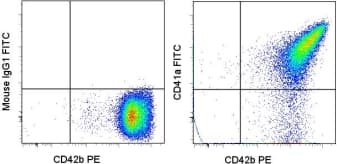 Monoclonal Mouse anti-Human ITGA2B / CD41 Antibody (clone HIP8, FITC)