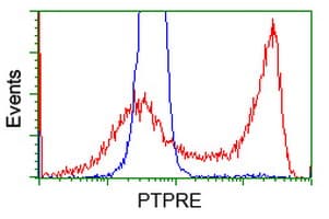 Monoclonal Mouse anti-Human PTPRE / PTP Epsilon Antibody (clone OTI2A9, IHC, IF)