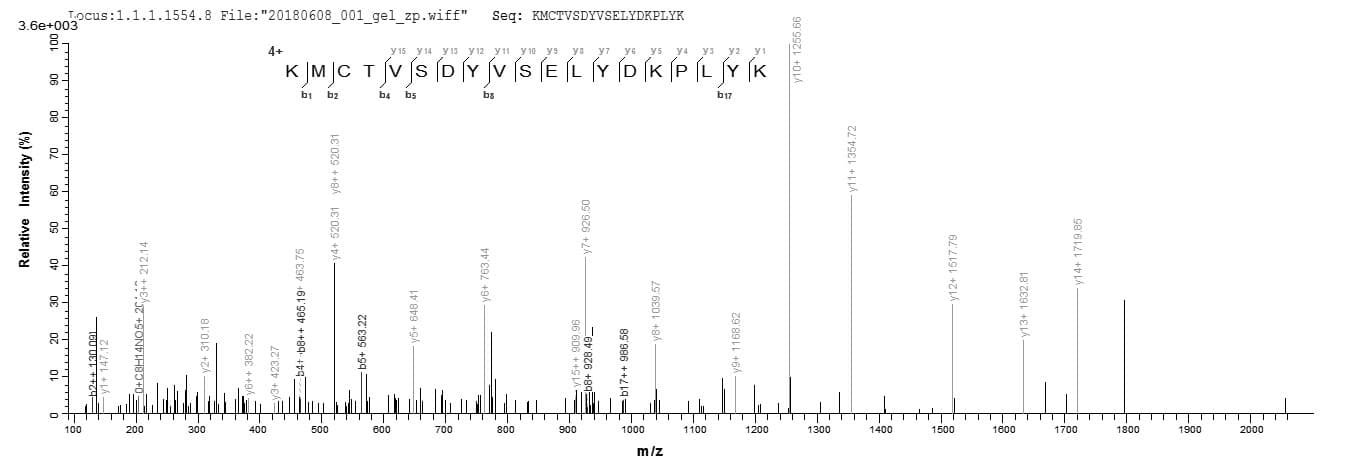 Vaccinia Virus Smallpox-B5R Protein (Recombinant MBP, N-terminus + 6His, C-terminus)