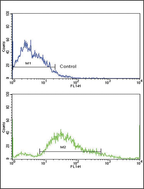 PDGFRB / PDGFR Beta Antibody (aa40-72)