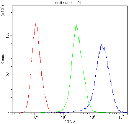 PTP4A2 / PRL-2 Antibody (aa40-69)