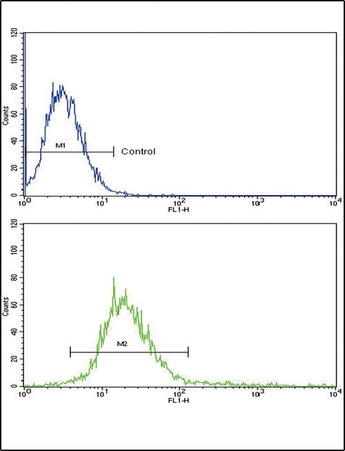 Polyclonal Rabbit anti-Human RECK Antibody (aa430-456, IHC, WB)