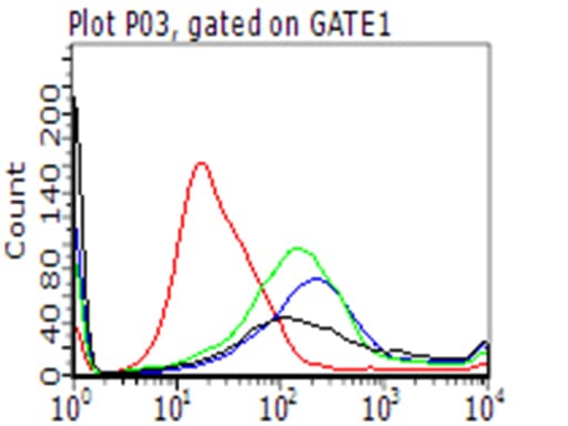Monoclonal Mouse anti-Human CD274 / B7-H1 / PD-L1 Antibody (clone OTI14H4, WB)