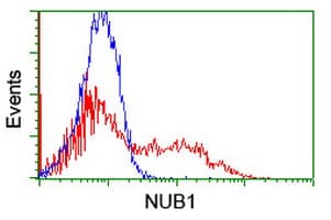 Monoclonal Mouse anti-Human NUB1 Antibody (clone OTI2G1, IHC, WB)