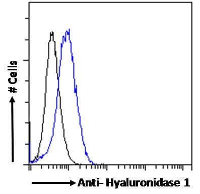 IHC-plus™ Polyclonal Goat anti-Human HYAL1 Antibody (aa325-339, IHC, IF)