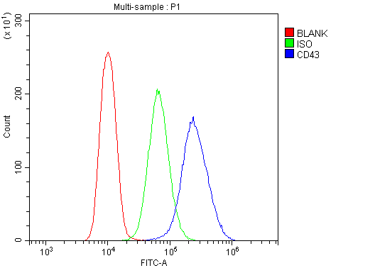 Polyclonal Rabbit anti-Human SPN / CD43 Antibody (aa272-400, IHC, WB)