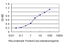 DOCK4 Antibody (clone 3E7)