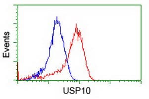 USP10 Antibody (clone OTI2E1)