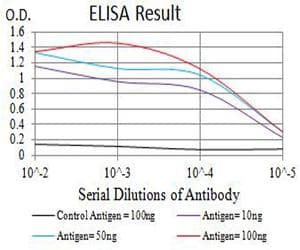 BCL2L2 / Bcl-w Antibody (clone 4G12D11)