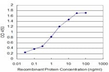 MAX Antibody (clone 4E10-1A9)