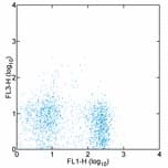 Monoclonal Rat anti-Mouse CCR7 Antibody (clone 4B12, PE,Cy7)