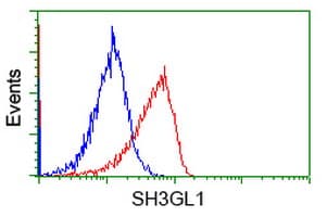 SH3GL1 / EEN Antibody (clone OTI2F5)