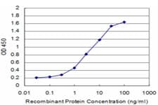 CDH11 / Cadherin 11 Antibody (clone 4D10)