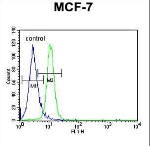 PSG7 Antibody (aa265-293)