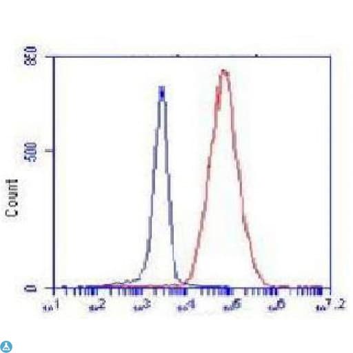 Monoclonal Mouse anti-Human COX4I2 Antibody (IF, WB)