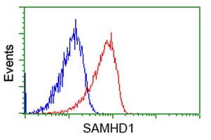 SAMHD1 Antibody (clone 2D7, Carrier-free)
