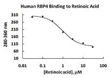 Human RBP4 Protein (Recombinant)