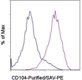 IHC-plus™ ITGB4 / Integrin Beta 4 Antibody (clone 439-9B)
