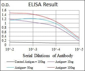 IHC-plus™ FN1 / Fibronectin Antibody (aa1965-2176, clone 2F4)