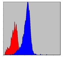 CRKL Antibody (clone 5E+12)