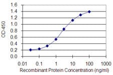 GATA4 Antibody (clone 6C6)