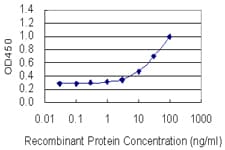 SOX5 Antibody (clone 4H8)