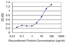 A1BG Antibody (clone 4F6)