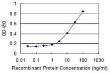 Monoclonal Mouse anti-Human ZNHIT2 Antibody (clone 4G11)