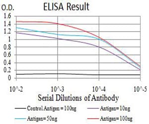RUNX3 Antibody (clone 8C9B6)