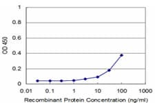 MAGOH Antibody (clone 6E11)