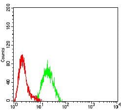 KMT2C / MLL3 Antibody (clone 7D5D7)
