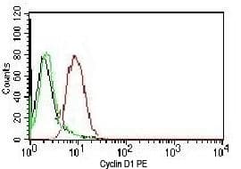 CCND1 / Cyclin D1 Antibody (clone BCLD1-1)