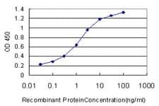 IHC-plus™ Monoclonal Mouse anti-Human OCRL Antibody (clone 4A6, IHC, WB)