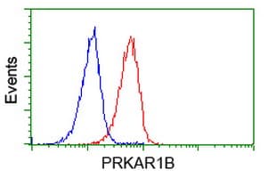 PRKAR1B Antibody (clone OTI2A3)