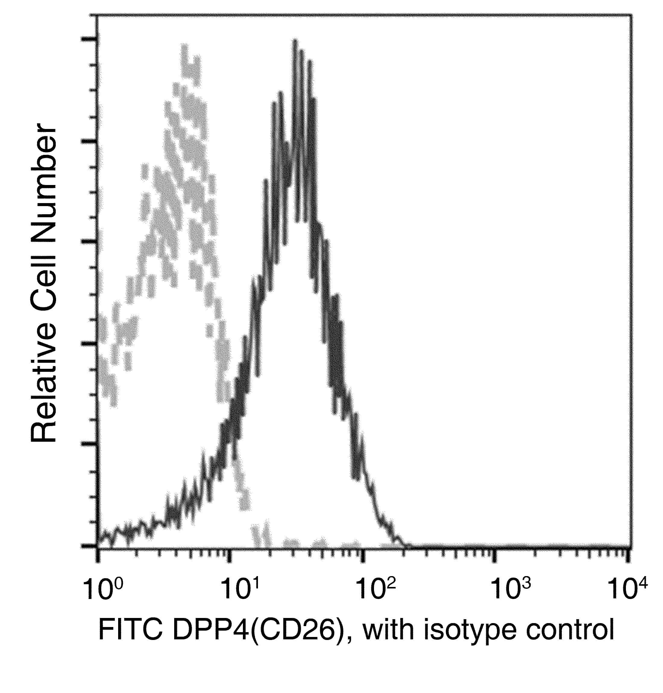 DPP4 / CD26 Antibody (clone 009, FITC)