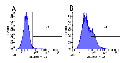 IL2RA / CD25 Antibody (IL-2R alpha (CD25), clone Basiliximab)