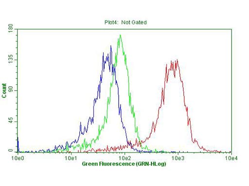 p16INK4a / CDKN2A Antibody (clone OTI11D3)